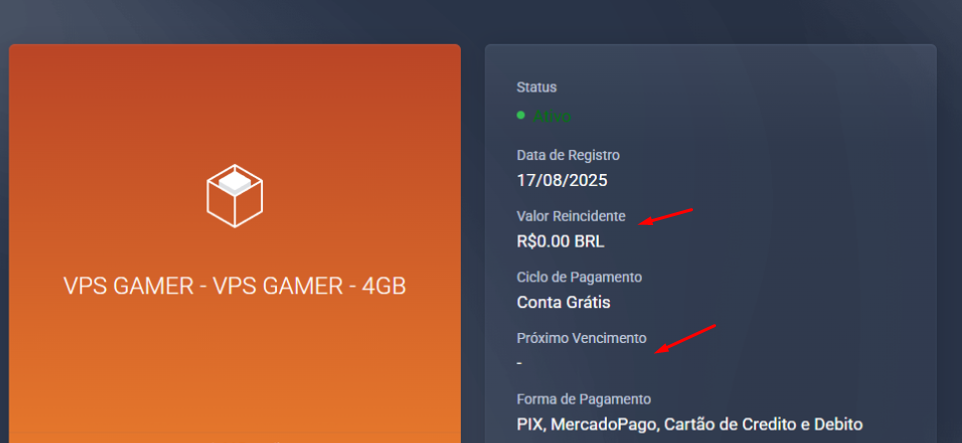 Como ver a data de vencimento da VPS — passo 2 (South Host)